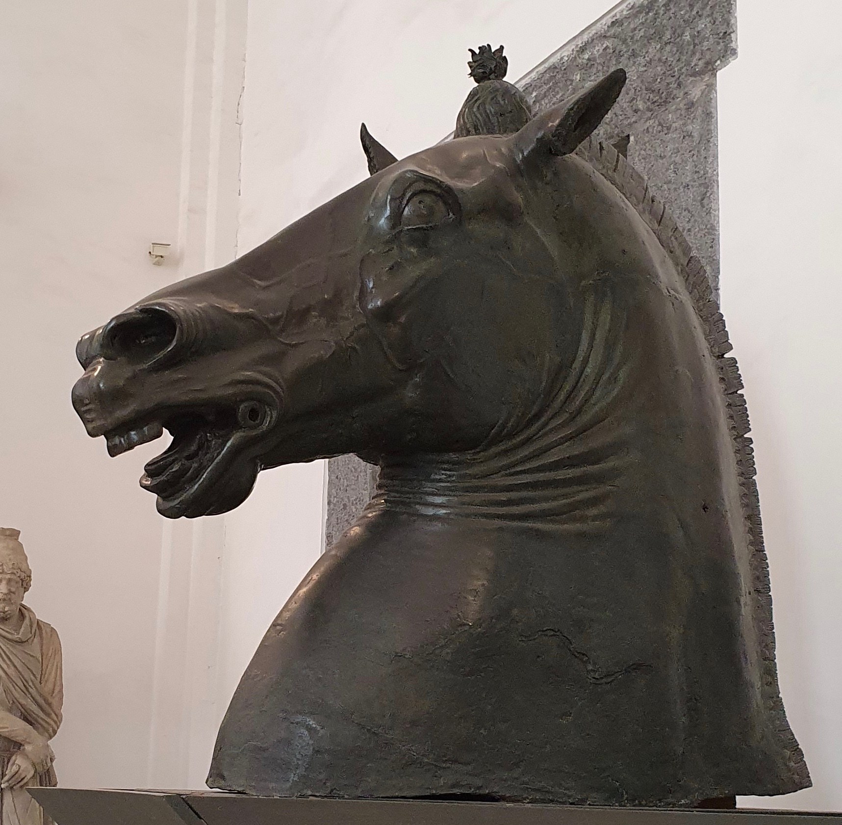 Die Protome Carafa, der kolossale bronzene Pferdekopf, Donatello zugeschrieben (1456), den Goethe im Palasthof sah; heute im Archäologischen Nationalmuseum Neapel. Foto Yair Haklai, Wikimedia Commons, CC BY-SA 4.0.