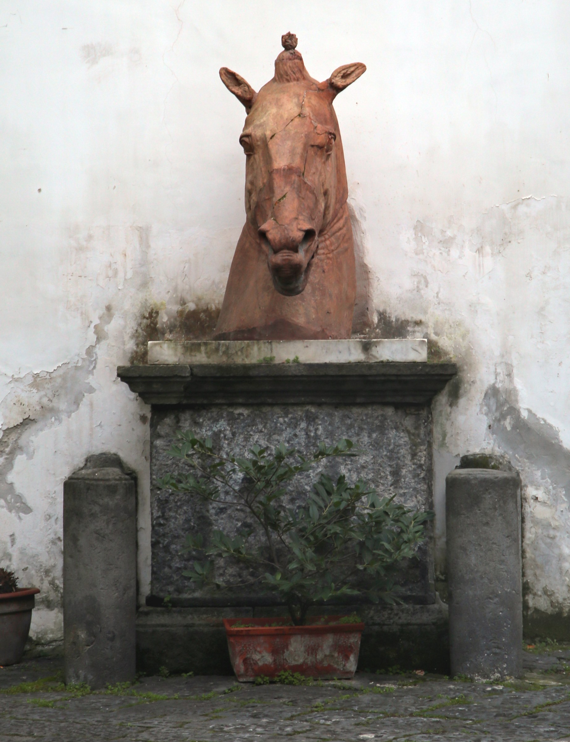 Der Hof des Palazzo Carafa in der Via San Biagio dei Librai heute, mit der Terrakottakopie der Protome anstelle des Originals. Foto Sailko, Wikimedia Commons, CC BY 3.0.